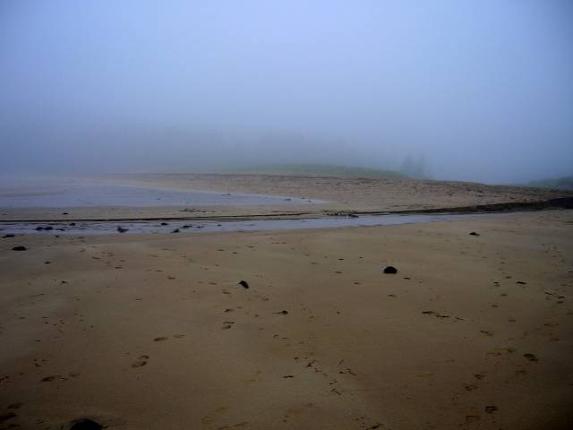 Misty Beach.JPG