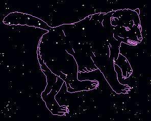 ursa.major.bear.jpg