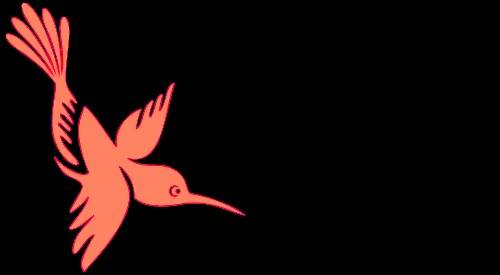 pink-red bird.jpg
