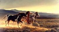 wild-horses (200x109).jpg