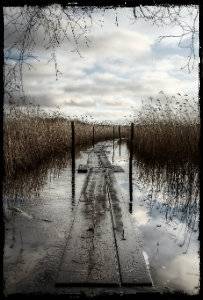 Path.jpg