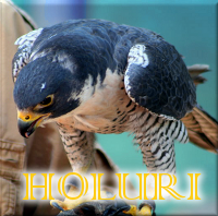 aselia holuri2.png