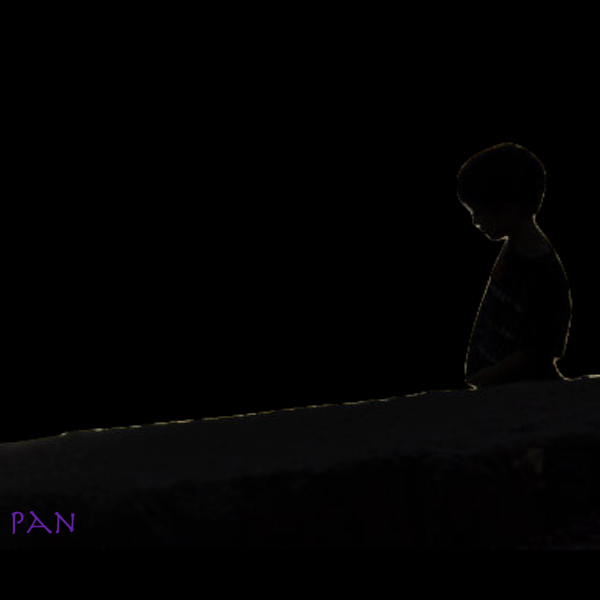 Pan header 1.png