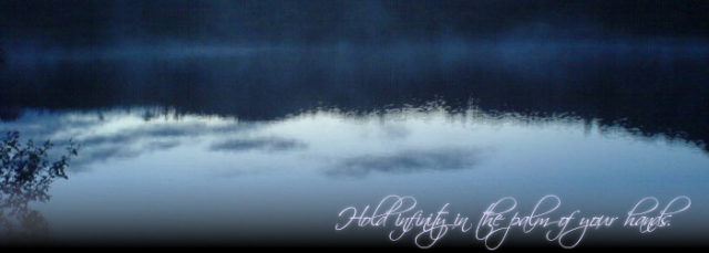 aselia header2.png