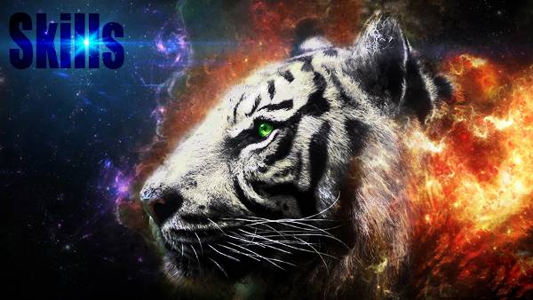 Tiger-Head-2560x1440-Wallpaper-WallpapersHunt8.jpg