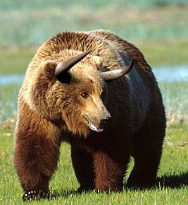 bull-bear.jpg