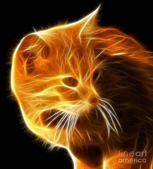 amazing-cat-portrait-pamela-johnson.jpg