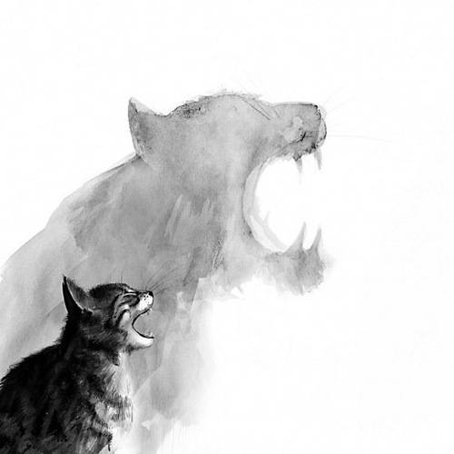 art-black-and-white-cat-drawing-Favim_com-607461.jpg