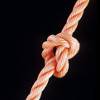 knot tying.jpg