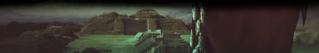 naamalowerbanner2.png