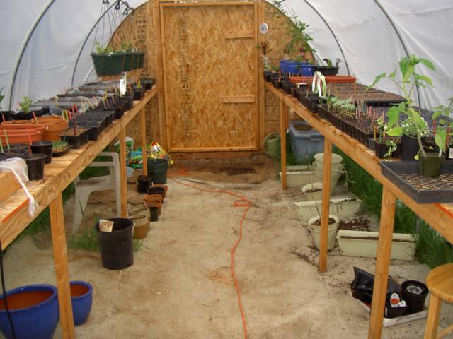 fullgreenhouse.jpg