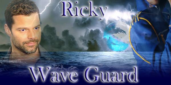 Wave Guard Box C1.JPG