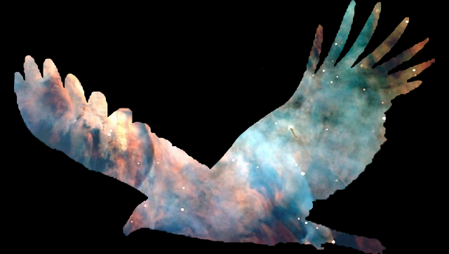 eagleshadow4.png