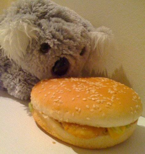 koala burger.jpg