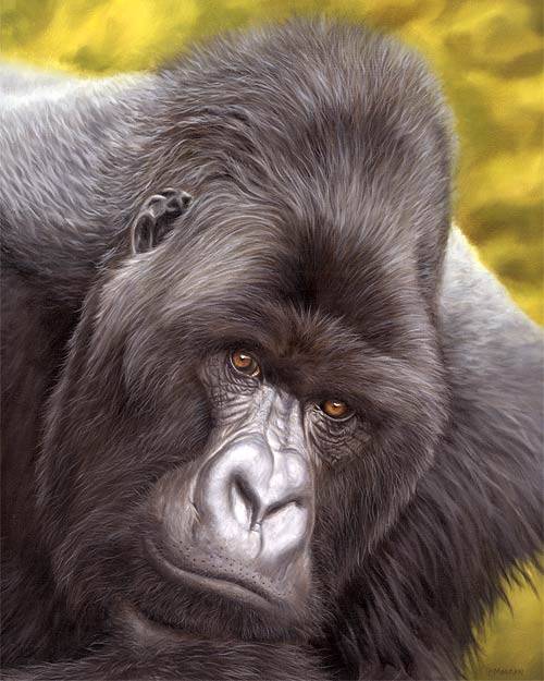 Mountain-Gorilla-painting-i.jpg