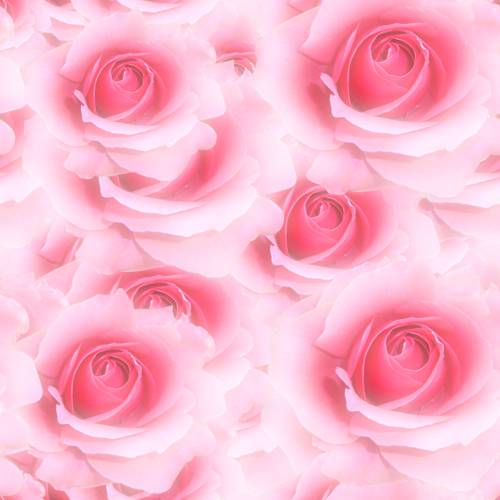 Pink Rose Pattern.jpg