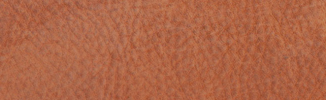 Epifanio Leather.png