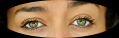 eyes2.png