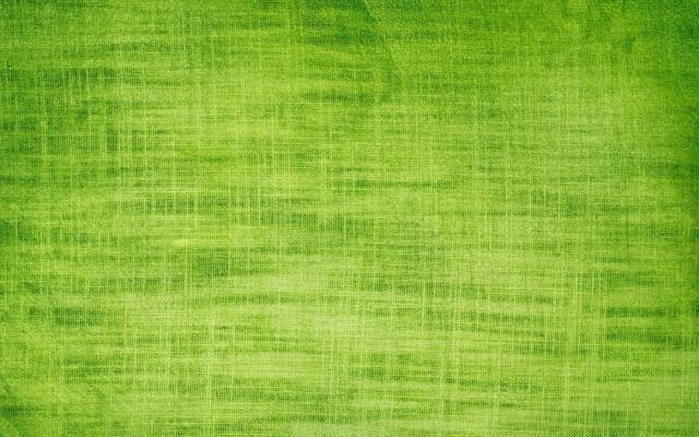 Backgrounds_Bright_green_background_035524_2.jpg