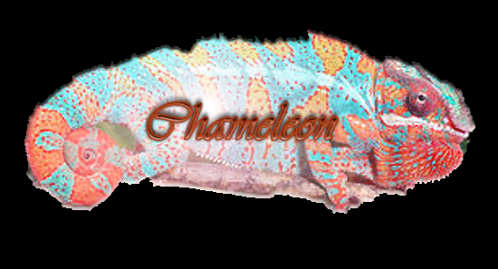 Chameleon Code2.png