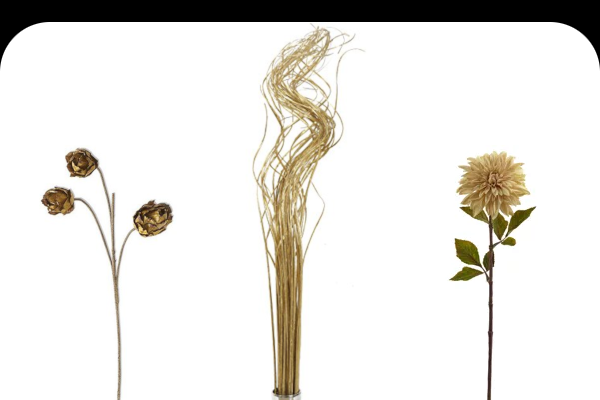 dried flowers.png