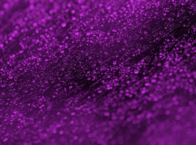 Purple Rain.jpg
