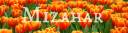 Banner for Mizaahr Cotton.jpg