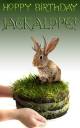 Hoppy Jackalope.jpg