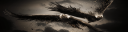 rsz_brother_flight_by_miguel_oliveira-d5f0wud.png