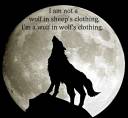 Wolf-wolves-18492909-1600-1200.jpg