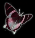 zergstock - butterfly beab2.png