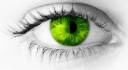 Green-Yellow Eye2.jpg