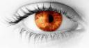 Orange Eye2.jpg