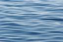water2.jpg