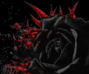 rose2.png