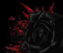 rose3.png