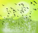 fantasy_landscape_witn_birds_background_yellow_green_1800x1600copy.jpg