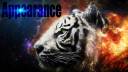 Tiger-Head-2560x1440-Wallpaper-WallpapersHunt2.jpg