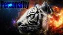 Tiger-Head-2560x1440-Wallpaper-WallpapersHunt3.jpg