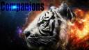 Tiger-Head-2560x1440-Wallpaper-WallpapersHunt10.jpg