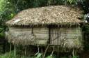 abandoned-jungle-hut.jpg