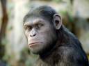 Ceaser-from-Rise-of-the-Planet-of-the-Apes.jpg