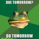 Procrastination Frog.jpg