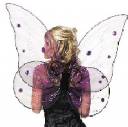 FairyWings (1).jpg