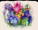 flowersanouk.png