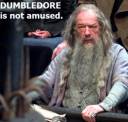 dumbledoremad.jpg