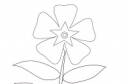 aid1411284-728px-Draw-Botanical-Plants-Step-3.jpg