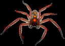 orange trio spider.png