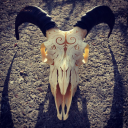 bone animal skull.png