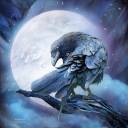 raven-moon-carol-cavalaris.jpg